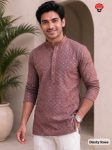 Chikankari 2.0 Stylish Short kurta